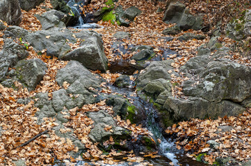 Beautiful autumn landscape with a small waterfall in a forest with stone terrain. Rocks and water stream covered with fallen leaves.