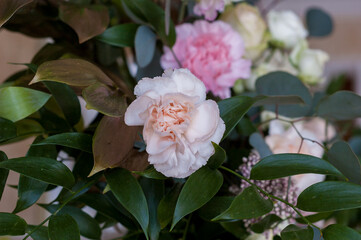 Beautiful pink carnations in a bouquet of flowers close up