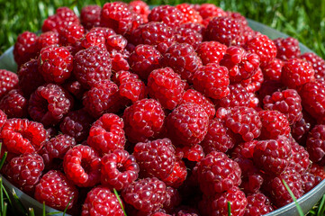 Vivid Organic Delight: Top-View Close-Up of a Plate Overflowing with Ripe, Fresh Red...