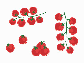 Tomato. Cherry tomatoes on branches top view and side view. Flat vector illustration, agriculture, vegetable growing concept.