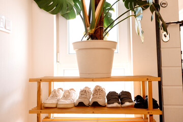 Family shoes lined up on a wooden shelf near the front door. Sneakers of different family members and a large monstera plant in a pot.