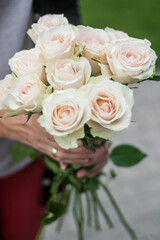Bouquet of white roses in female hands