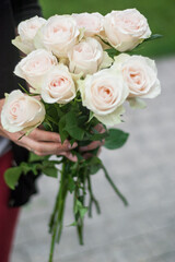 Woman's hands hold a bouquet of white roses - 706329261