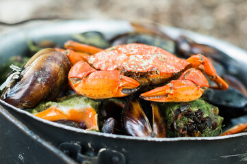 Pot with boiled seafood, crab, mussels.