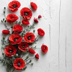 Red Poppy Flowers On White Wooden, White Background, Illustrations Images