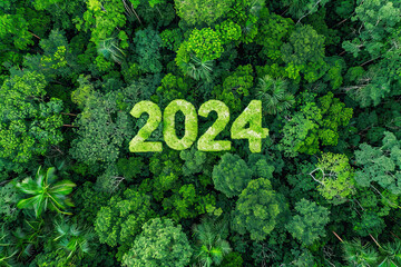 Aerial view of a green forest with the year 2024