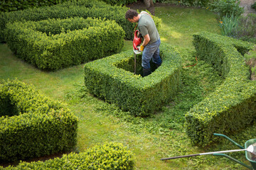 Gardener pruning a hedge in a maze with electrical trimmer, elevated view
