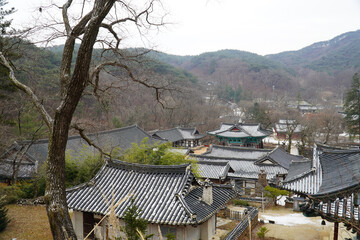 The silhouette and cultural properties of winter trees