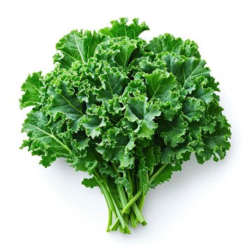Vegan Food Background Kale Leaves, White Background, Illustrations Images