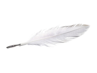 a white feather with a silver tip - obrazy, fototapety, plakaty