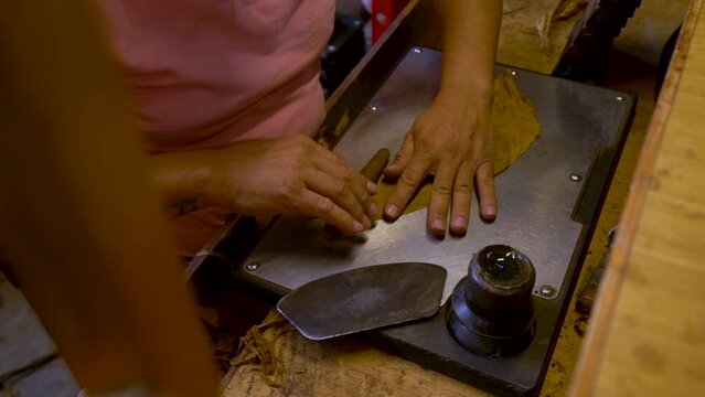 Close up artisan hands rolling luxury cigar from tobacco leaves, traditional handmade cigars production