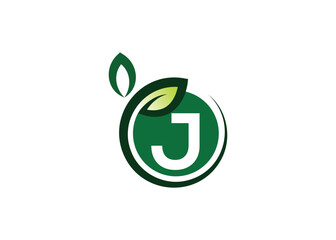 Letter J Green leaf logo design vector template. Letter J Nature Growth Leaf vector logo