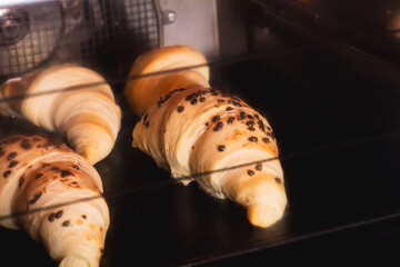 Delicious tender croissants baking in the cafeteria oven, to be served in the morning.