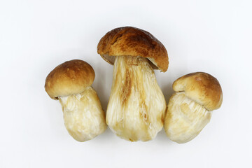Cleaned edible Boletus mushrooms on white background