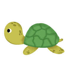 cute turtle