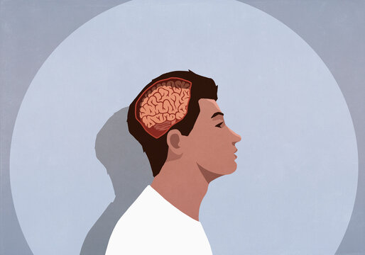 Profile spotlight view of brain inside man's head
