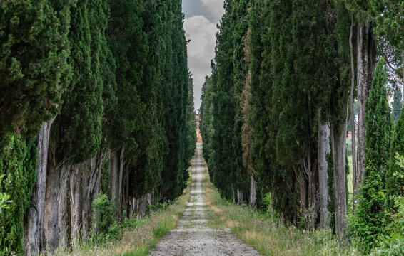 Views travelling around Tuscany, Italy