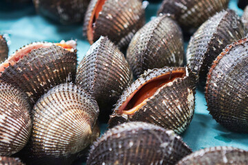 Close up fresh cockle shellfish
