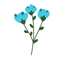 blue flowers