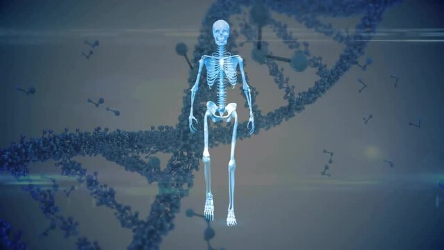 Animation of digital human model over dna strand on white background