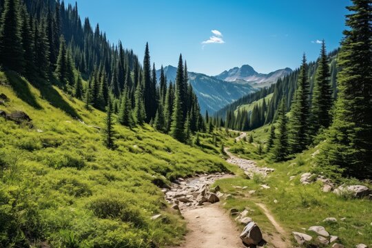 Photo of a scenic summer hiking trail in the mountains. Generative AI
