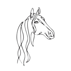 horse one line art illustrations