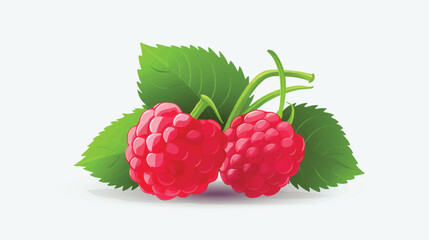 raspberry with leaves illustration Vector