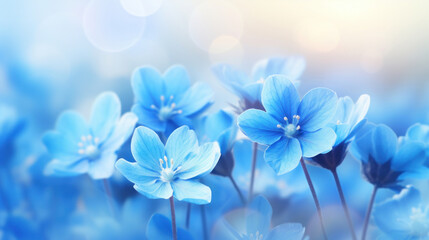 Delicate blue hepatica wildflowers blooming with a soft focus, bathed in the warm light of spring.