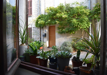 open window with potted plants and a village street