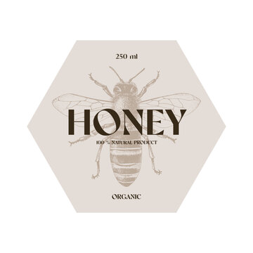 Honey label package template with honeybee sketch