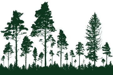 Coniferous forest, silhouette of pine trees, beautiful landscape. Vector illustration