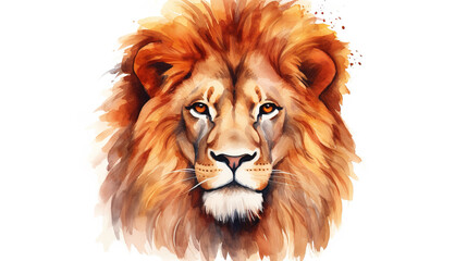 Fototapeta premium lion head isolated