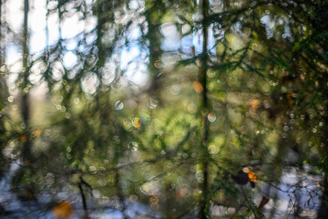 winter solstice blur background with bokeh rings
