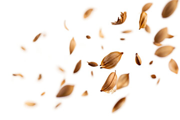 Seeds Floating in the Wind isolated on transparent background