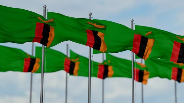 Zambia many flags waving together in the wind, seamless looped video