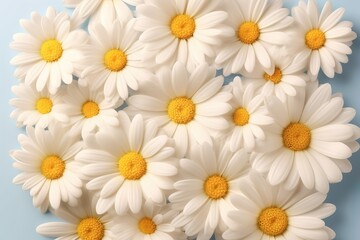 top view of daisy flowers generative ai