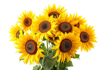Sunflower Bouquet in a Vase isolated on transparent background