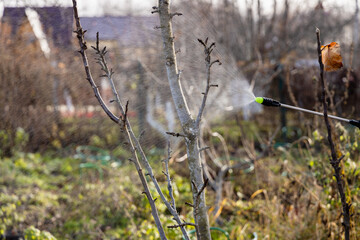 Using chemicals in the garden orchard gardener applying an insecticide a fertilizer to his fruit shrubs, using a sprayer