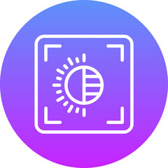 Camera Brightness Icon
