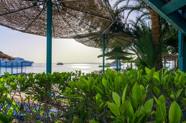 beach umbrellas and palm trees on the background of the red sea and ships in egypt