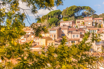 Scenic view of the small village of Bormes les Mimosas in south of France with yellow mimosas blooming under warm winter sunlight 