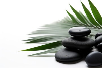 Fototapeta na wymiar Black spa stones with palm leaves on white background
