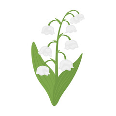 Lily Of The Valley Plant with leaves. Spring flower for design, postcards, decor and decoration, print, invite. Flat illustration of floral element Lily Valley isolated on white background. Vector