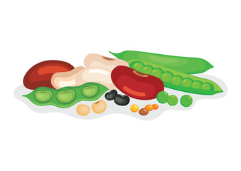 Pile of different dried beans and legumes vector illustration. Heap of beans and legumes icon vector isolated on a white background. Green pea, lentil, soybean, kidney bean drawing