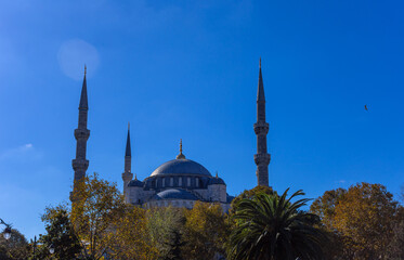 Fototapeta na wymiar The Sultan Ahmed Mosque detail