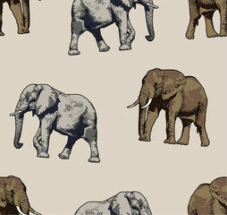 animal elephant vector seamless pattern