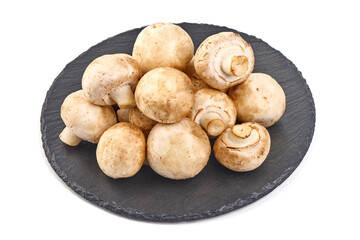Champignons, close-up, isolated on white background