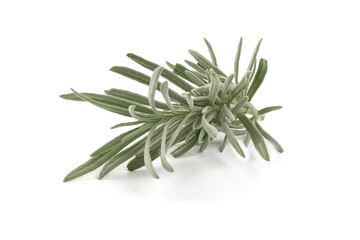 Fototapeta premium Lavender spice, isolated on white background