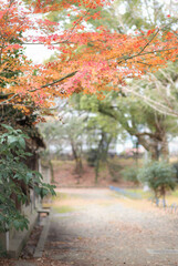 Naklejka premium Japanese autumn fall. Kyoto Famous temple with autumn color leaves and cherry blossom in spring in Kyoto