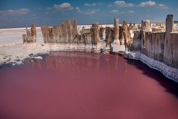 Pink lake with healing pink salt and mud. Old wooden posts in salt left over from salt mining....